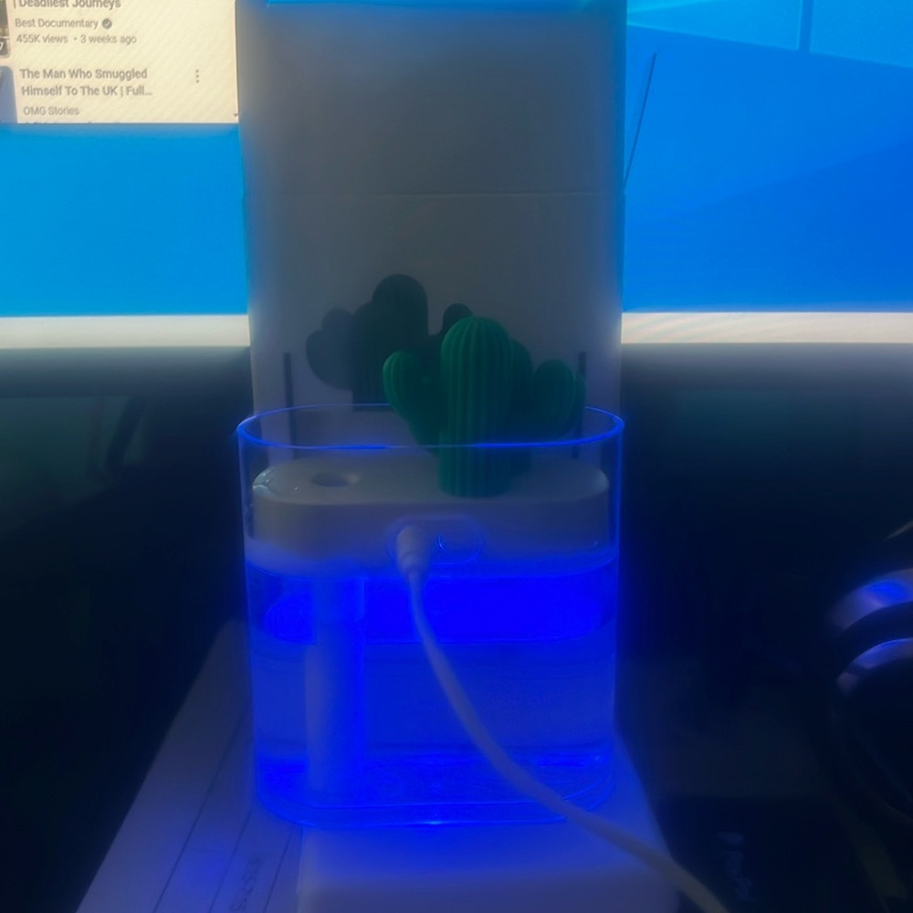 Cactus diffuser